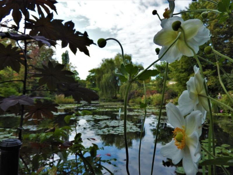 Giverny Village Walking Tour & Skip-the-Line to Monet Garden - Frequently Asked Questions