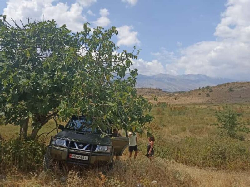Gjirokastër: Antigonea Archaeological Park Guided Tour - From Gjirokastër to the Ruins: Easy and Convenient Access