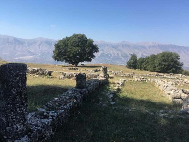 Gjirokastër: Antigonea Archaeological Park Guided Tour - The Experienced Guide and Personal Attention