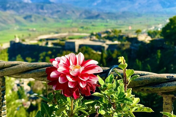 Gjirokastra, Full Day Trip from Tirana - Key Points