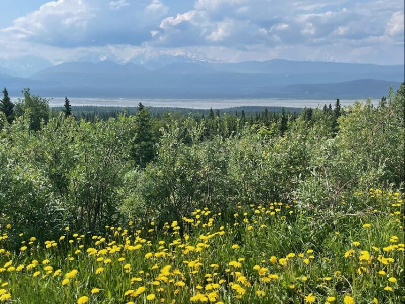 Glacial Lake, Waterfall and rainforest. Beauty of Turnagain! - Anchorages Viewpoints from Above