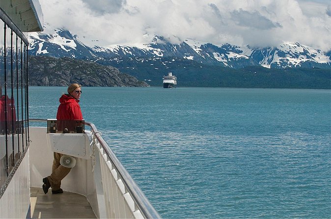 Glacier Bay Day Tour: Explore Tidewater Glaciers and Wildlife - Wildlife Encounters and Marine Life