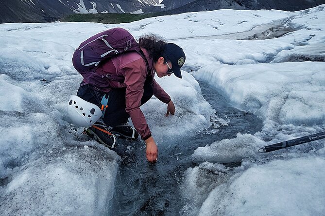 Glacier Hike from Skaftafell - Extra Small Group - Professional Guides with High Praise for Their Knowledge and Safety