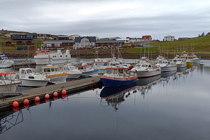 Glacier Lagoon Diamond Beach and Stokksnes From Djúpivogur - Frequently Asked Questions