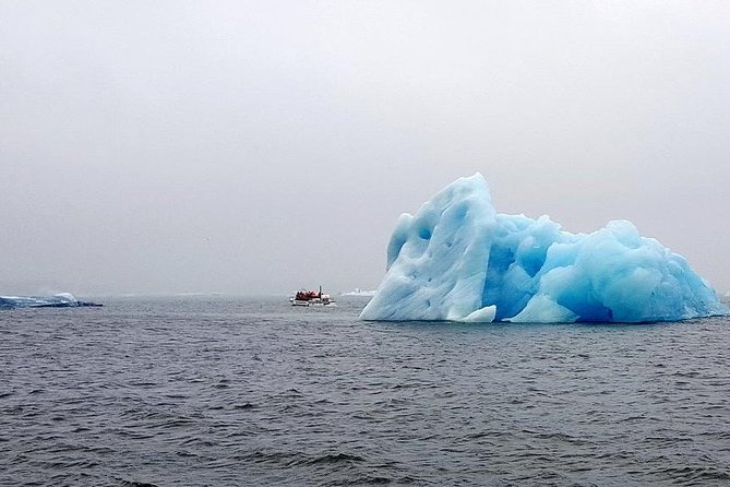 Glacier Lagoon & South Coast. Private Day Tour - Overall Value and Suitability