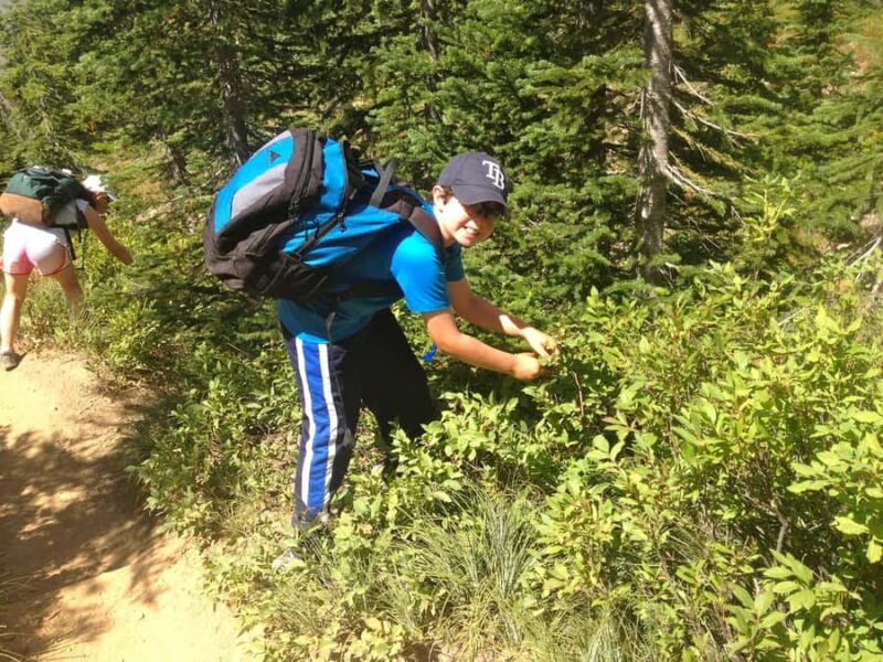 Glacier National Park: Morning Nature Walk - Key Points