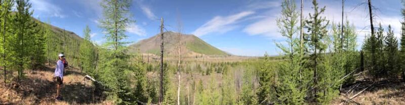 Glacier National Park: Morning Nature Walk - Scenic Van Ride into Lake McDonald Valley