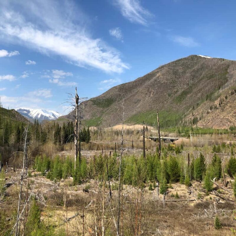 Glacier National Park: Morning Nature Walk - What Guides Share During the Tour