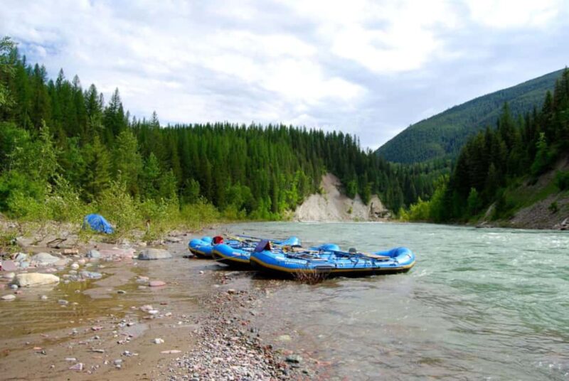 Glacier National Park: Scenic Float on the Flathead River - Learning About Glacier’s Ecosystems and History from Your Guides