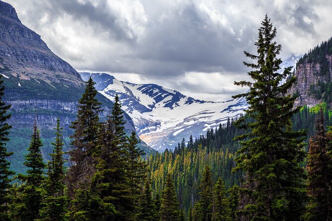 Glacier National Park Self-Guided Driving Audio Tour - Logan Pass and Weeping Wall