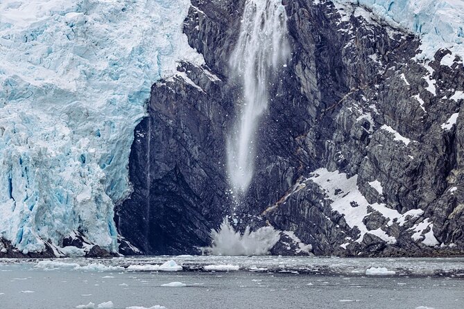 Glacier Quest Cruise Self Drive - Onboard Amenities and Food Offerings