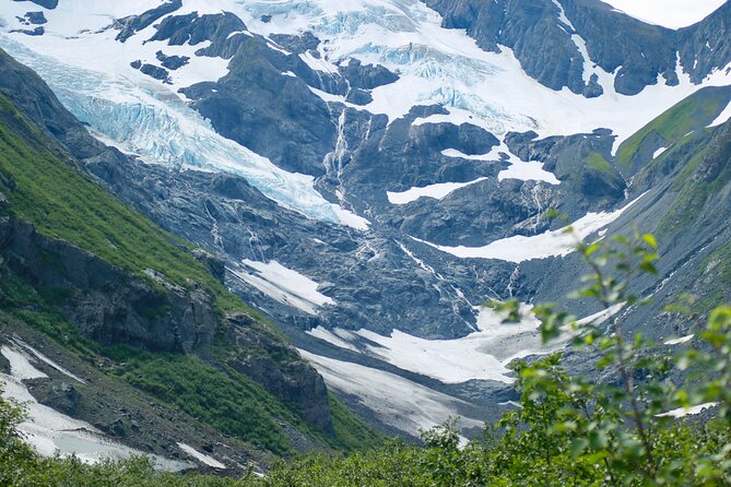 Glacier View & Wildlife Anchorage Adventure Tour - Guides and Tour Experience Quality