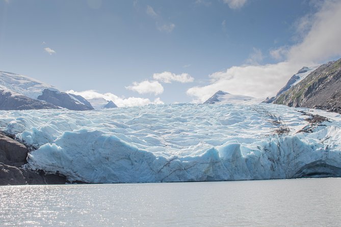 Glaciers and Wildlife: Super Scenic Day Tour from Anchorage - Cruising the Portage Lake to Sight the Ancient Glaciers