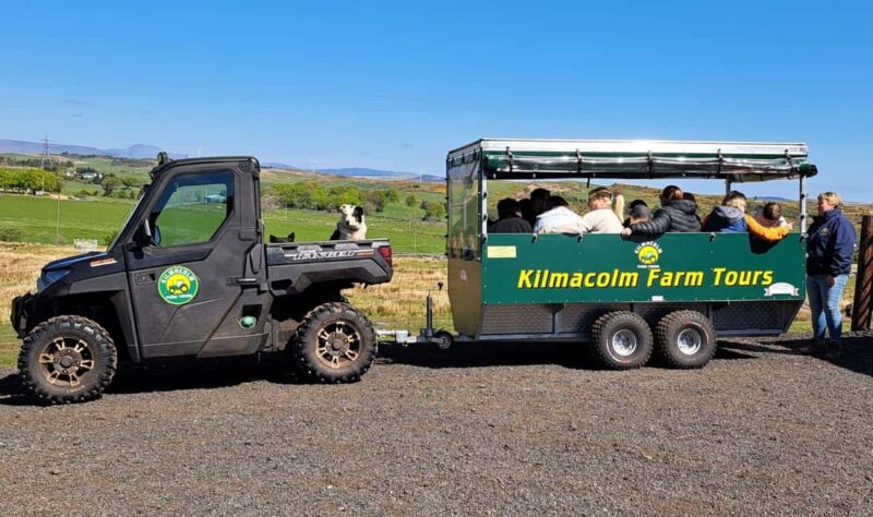 Glasgow: Highland Cow Trailer Tour with home baking - Highland Cow Trailer Tour in Glasgow: Final Thoughts