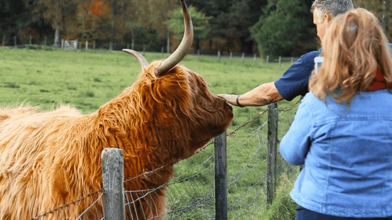 Glasgow: Loch Ness, Glen Coe, Hairy Coos & The Highlands - Final Thoughts on the Scottish Highlands Tour from Glasgow