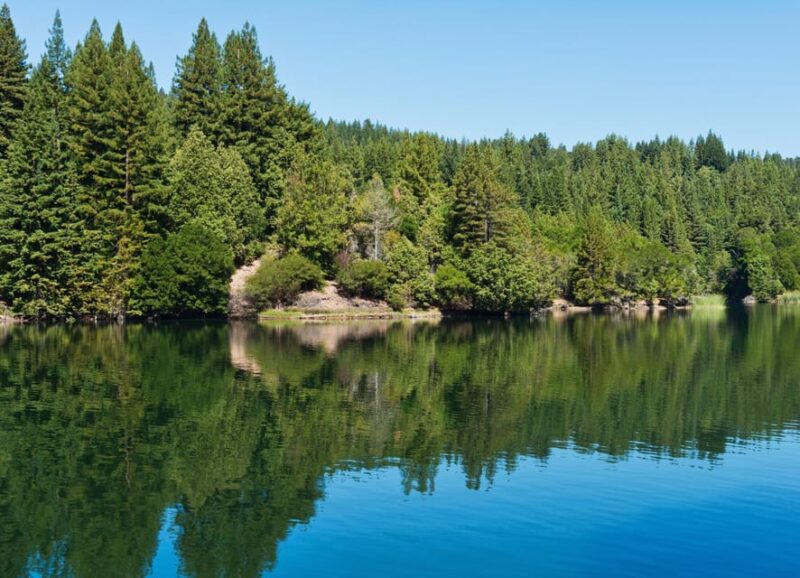 Glasgow: Stirling Castle, Loch Lomond Walk, and Whisky Tour - Practical Details and Tips