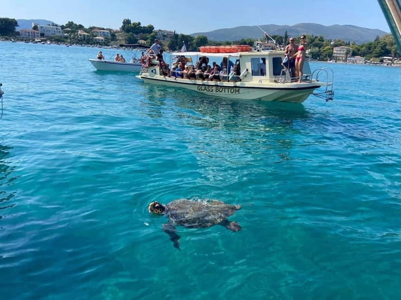 Glass boat cruises to spot turtles - Exploring Agios Sostis and Its Crystal Waters
