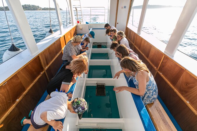 Glass boat tour Faana with swimming stop - Starting from Faana to Explore Brijuni and Marine Life