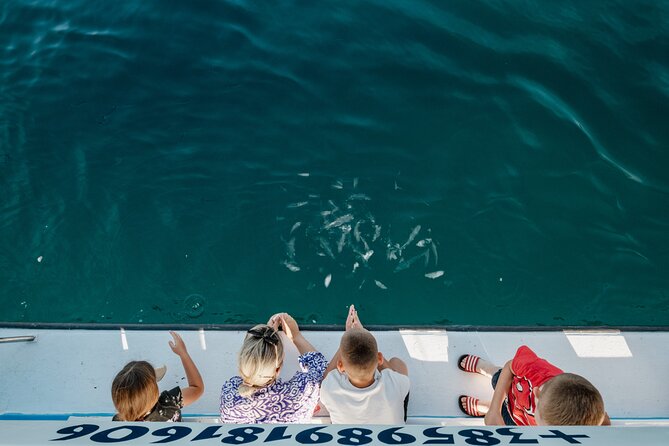 Glass boat tour Faana with swimming stop - Scenic Pass by Faana Beach and the Old Town
