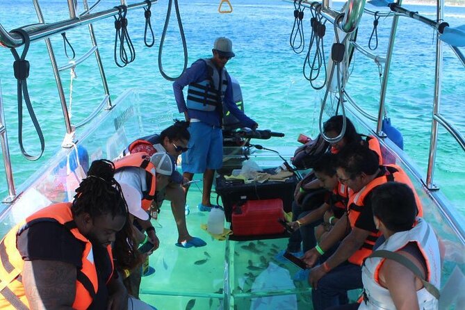 Glass Boat Tour in The Arch - Marine Species Sightings and Seasonality