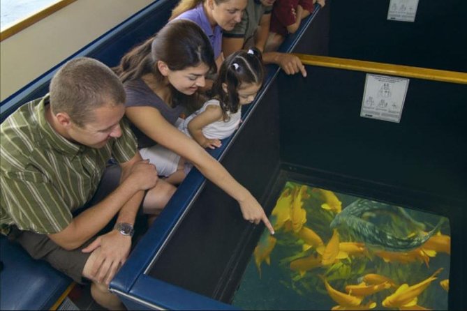 Glass Bottom Boat: Catalina Island Tour - Discover the Beauty of Catalina Island’s Underwater World for $29