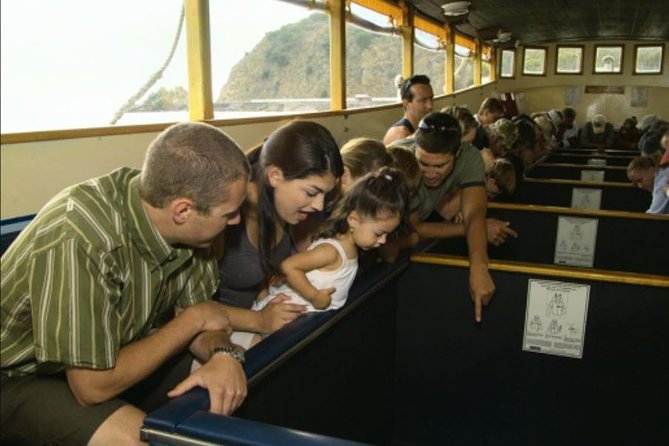 Glass Bottom Boat: Catalina Island Tour - The Starting Point at Avalon’s Green Pleasure Pier
