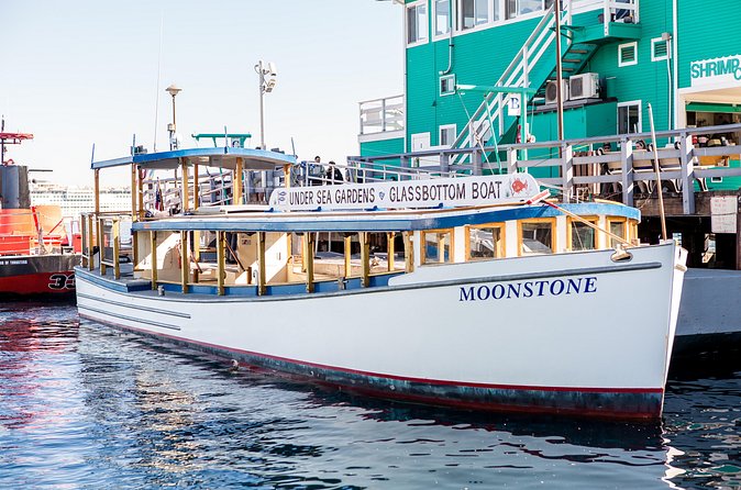 Glass Bottom Boat: Catalina Island Tour - What Families and Kids Enjoy Most