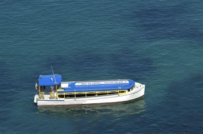 Glass Bottom Boat: Catalina Island Tour - Logistics and Group Size Considerations