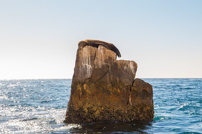Glass Bottom Boat in Cabo San Lucas, free time in Playa del Amor - A Small Group Experience with Positive Reviews