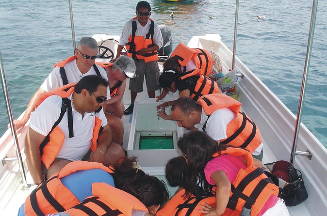 Glass Bottom Boat Ride to the Arch - Spotting Sea Life Through the Glass Bottom Windows