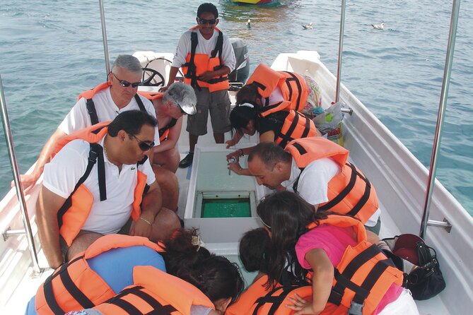 Glass Bottom Boat Ride to the Arch - Whale Watching and the Beach Stop