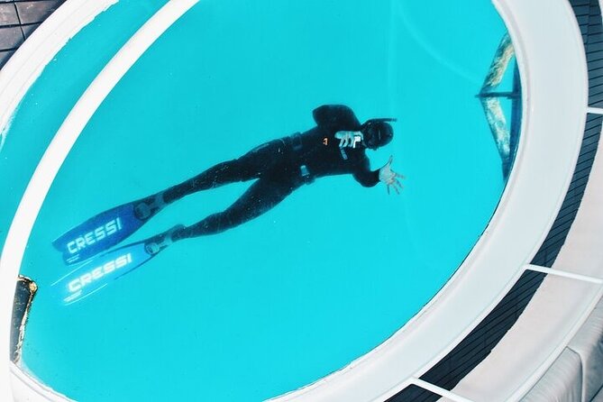 Glass Bottom Boat Tour & Snorkeling in São Miguel, Azores - Final Thoughts on the São Miguel Glass Bottom Boat & Snorkeling Tour