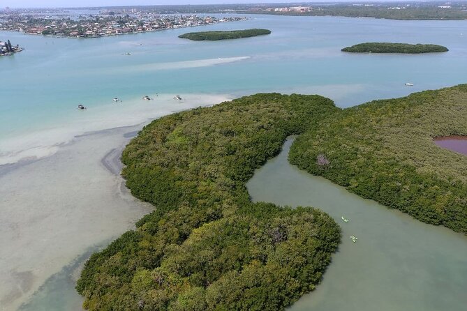 Glass Bottom Kayak Mangrove & Sandbar Adventure in St. Pete Beach - Wildlife Watching and Snorkeling Opportunities