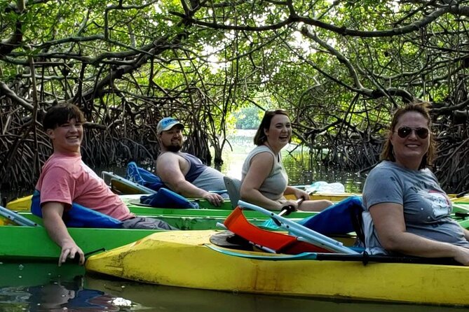 Glass Bottom Kayak Mangrove & Sandbar Adventure in St. Pete Beach - Pacing, Timing, and Flexibility