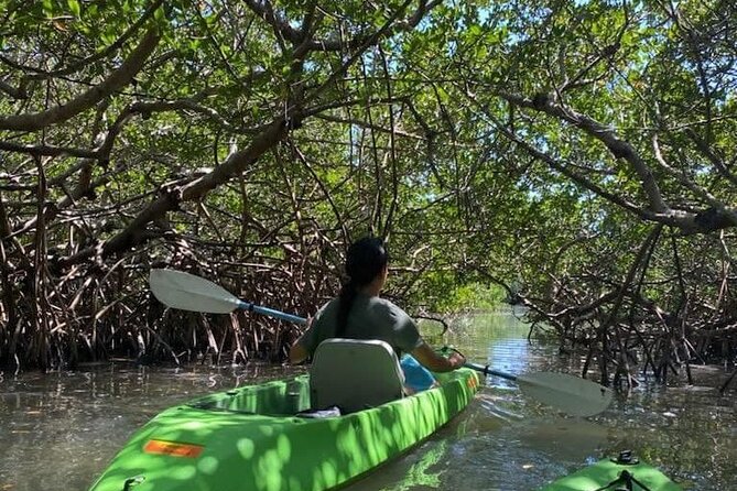 Glass Bottom Kayak Mangrove & Sandbar Adventure in St. Pete Beach - Value for Money and Booking Insights