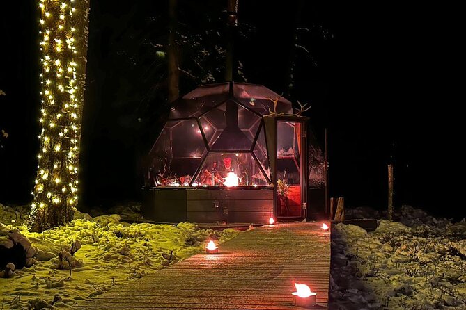 Glass Igloo Campfire Dinner under Northern Lights - Guided Service and Attentiveness of Staff