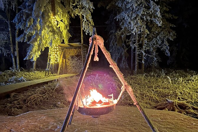 Glass Igloo Campfire Dinner under Northern Lights - Practical Details and Booking Insights