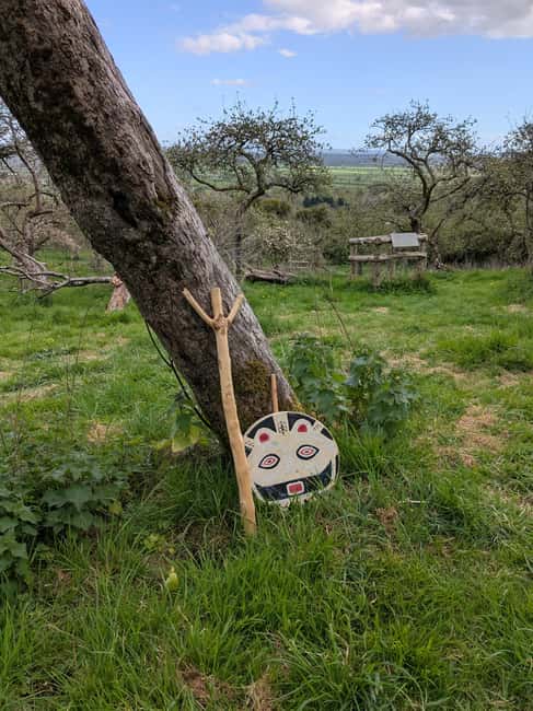 Glastonbury: Guided Tour of Avalon with Celtic Shaman - Key Points