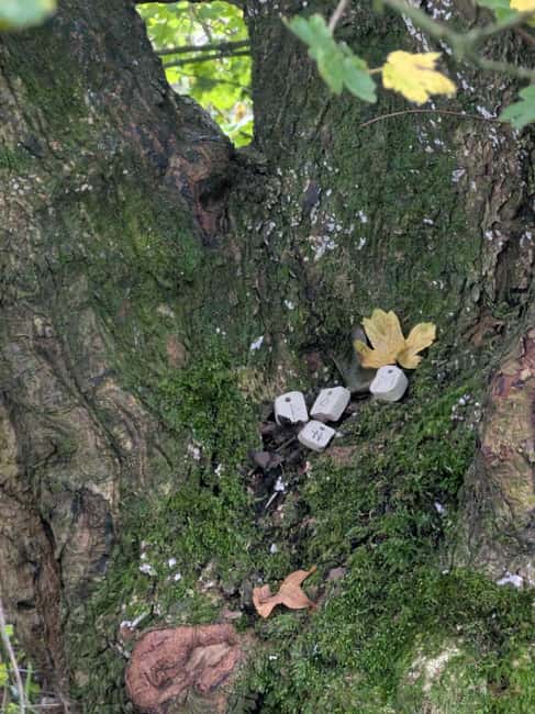 Glastonbury: Guided Tour of Avalon with Celtic Shaman - The Guide: Jeremy’s Passion and Knowledge