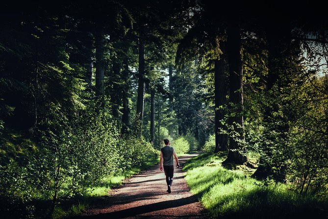 Glen Affric & Culloden Tour from Inverness Including Admissions - Discovering the Ancient Clava Cairns