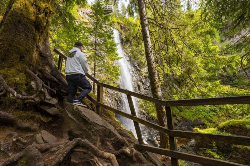 Glen Affric, Stunning Full-Day Private Guided Hike & Lunch - Who Will Most Appreciate This Tour
