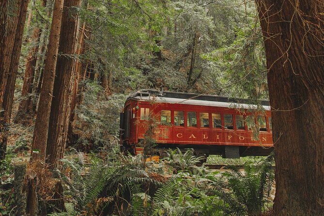 Glen Blair Bar Late-night Watering Hole - The Bar and Drink Options at The Glen