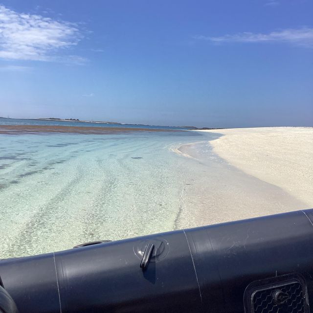 Glénan islands discover, full or half day privatization - Wildlife Encounters and Nature Highlights