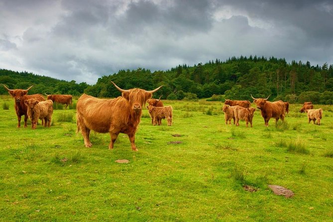 Glencoe & Glenfinnan Private Day Tour with Scottish Local - Loch Ba and Rannoch Moor Views from an Overlook Spot