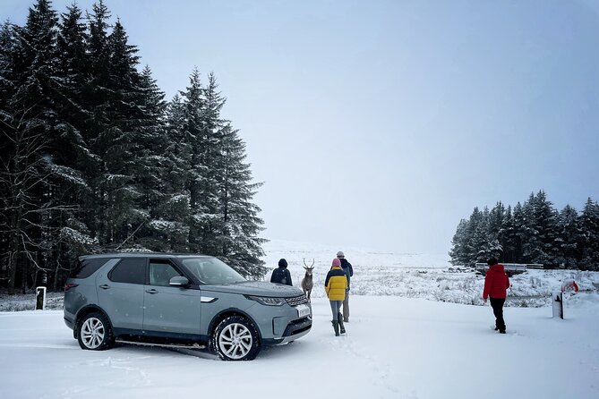 Glencoe & Highlands: Private Land Rover Tour - How the Tour Offers a Personalized Highlands Experience