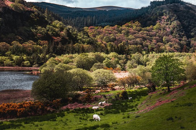 Glendalough Day Tour from Dublin: Including Kilkenny City - Who Would Enjoy This Tour Most
