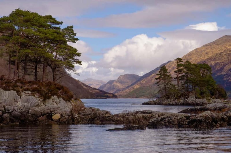 Glenfinnan: Cruise on Loch Shiel Glenfinnan to Gaskan area - Scenic Journey on Loch Shiel