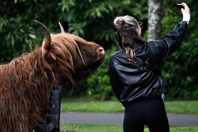 Glenfinnan Viaduct Glencoe Fort William Private Tour Glasgow - Whisky and Highland Coos at Perthshire