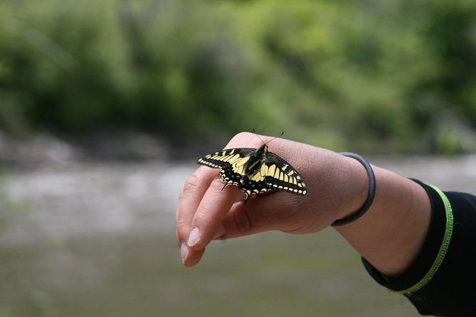 Glenwood Springs Half-Day Rafting Trip - Family-Friendly Adventures for All Ages