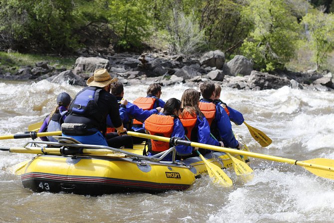 Glenwood Springs Half-Day Rafting Trip - Trip Pacing and Water Conditions